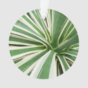 Agave Pflanze grün und weiß gestrichen Ornament