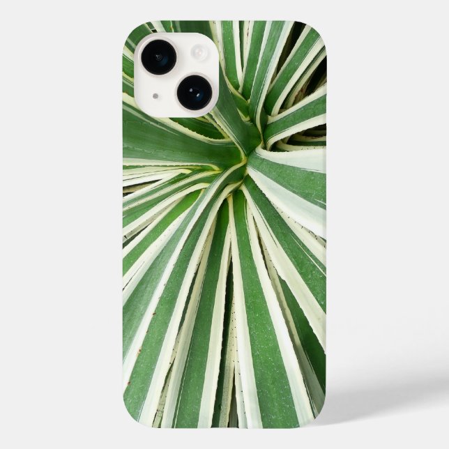 Agave Pflanze grün und weiß gestrichen title_seo2 (Rückseite)