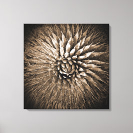 Agave Sepia Print auf Leinwand 22" x 22"
