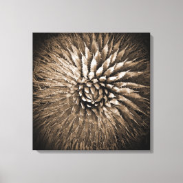 Agave Spikes Sepia Imprimer sur toile 22" x 22"