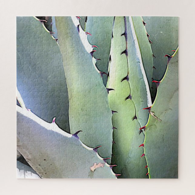 Agave Sukkulente Pflanze Cactus Green (Vertikal)