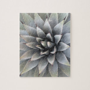 Agave Sukkulente Pflanze Cactus Green sage Jigsaw