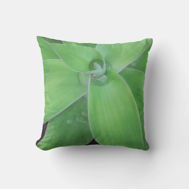Agave und Raindrops Kissen (Vorderseite)