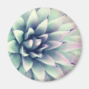 Agaven-Pflanze Magnet