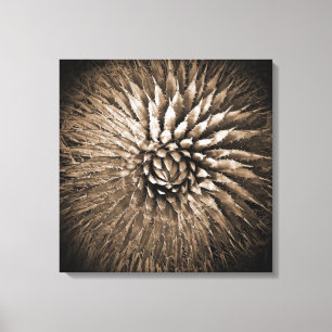 Agaven-Spitzensepia-Druck auf Leinwand 22" x 22"