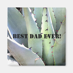 Agavenpflanze Sukkulente Blaue Kakteen Tequila Wüs Magnet