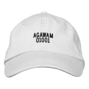 AGAWAM Massachusetts Hut