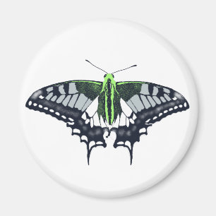 Agender Flag Swallowtail Butterfly Magnet