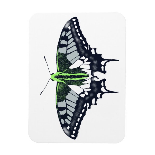 Agender Flag Swallowtail Butterfly Magnet (Vertikal)