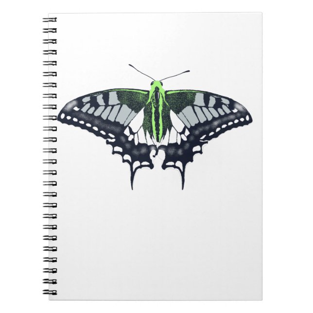 Agender Flag Swallowtail Butterfly Notizblock (Vorderseite)