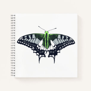 Agender Flag Swallowtail Butterfly Notizbuch