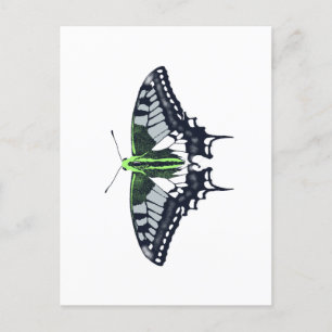 Agender Flag Swallowtail Butterfly Postkarte