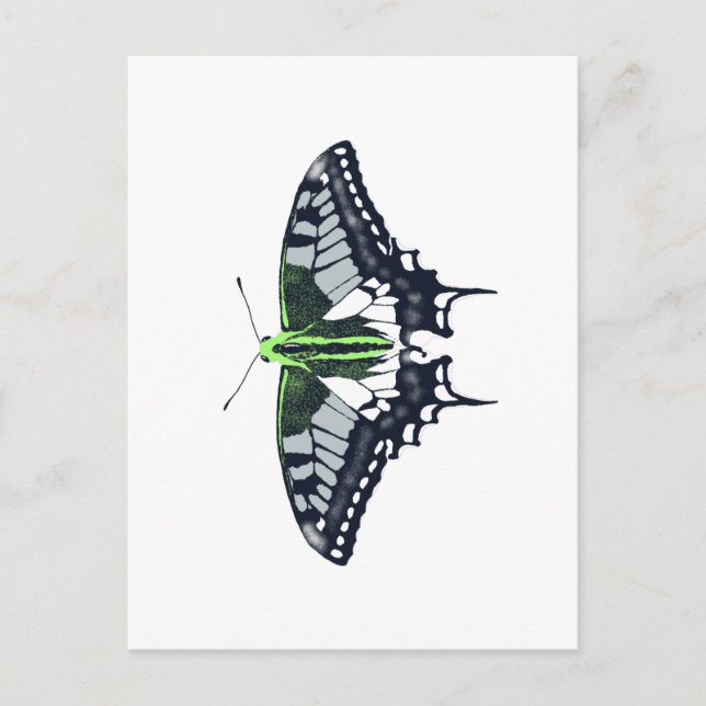 Agender Flag Swallowtail Butterfly Postkarte (Vorderseite)