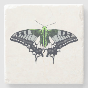 Agender Flag Swallowtail Butterfly Steinuntersetzer