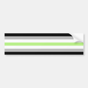 Agender Pride Flag Autoaufkleber