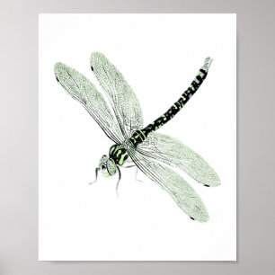 Agender Stolz Vintage Libellen Kunst Poster