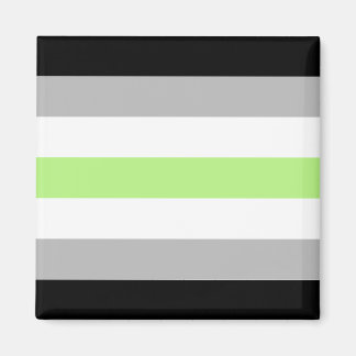 Agender-Stolzflagge – Agender-Identität LGBTQIA+ Magnet
