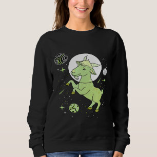 Agentin im Stolz der Weltraumorganisation Sweatshirt