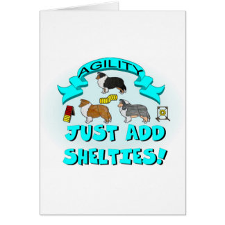 Agilité - ajoutez juste Shelties