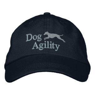 Agilité Italienne Gris Casquette brodé (Bleu)