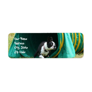 Agility-Boston-Terrier-Adressen-Etiketten