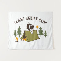 Agility Dog Niedlich Border Collie Camp Custom