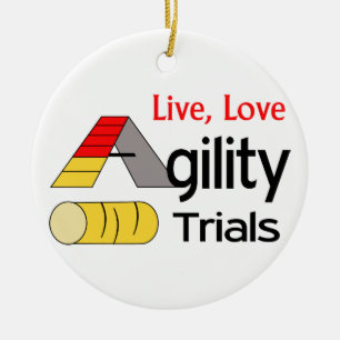 Agility-Versuche Keramik Ornament