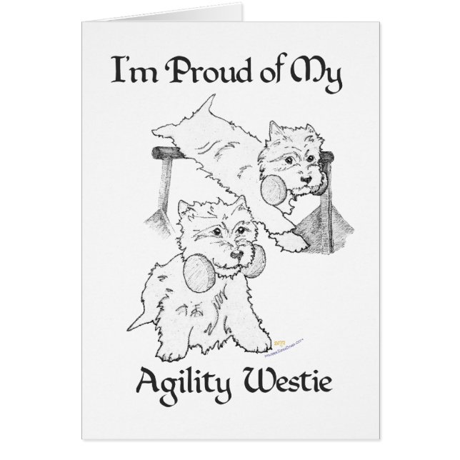 Agility Westie (Vorne)