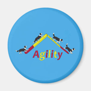 Agilityhund Magnet