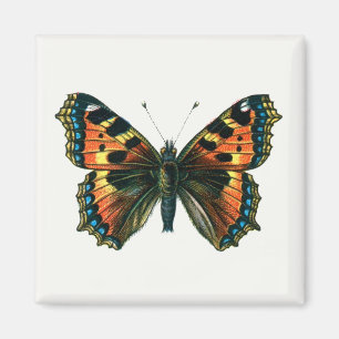 Aglais urticae - Die kleine Tortoiseshell Schmette Magnet