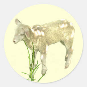 Agneau de bébé mignon sur Stickers Jaune