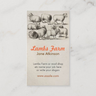 agnelle le carte de visite de laine