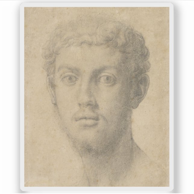 Agnolo Bronzino - Leiter eines Mannes Aufkleber (Vorderseite)