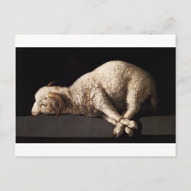 Agnus Dei von Francisco de Zurbaran Postkarte (Vorderseite)