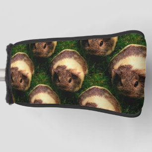 Agouti-Guinea Schweinefleisch im Gras Golf Headcover