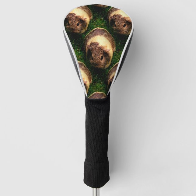 Agouti-Guinea Schweinefleisch im Gras Golf Headcover (Vorderseite)