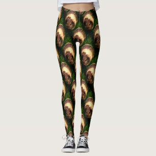 Agouti-Guinea Schweinefleisch im Gras Leggings