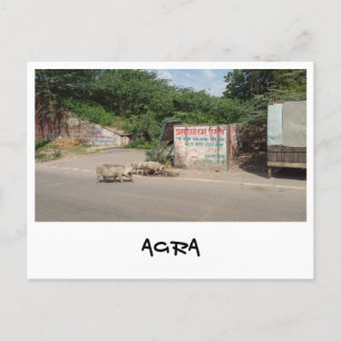 Agra, Uttar Pradesh (Indien) Postkarte