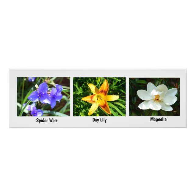 Agrandissement de la photo des fleurs de macro (Devant)