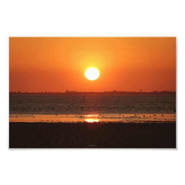 Agrandissement photo (Devant)