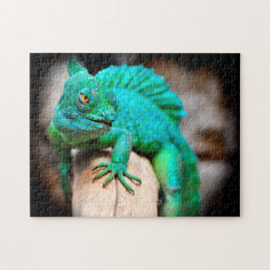 Agrandissement vert Iguana, Puzzle de Jigsaw
