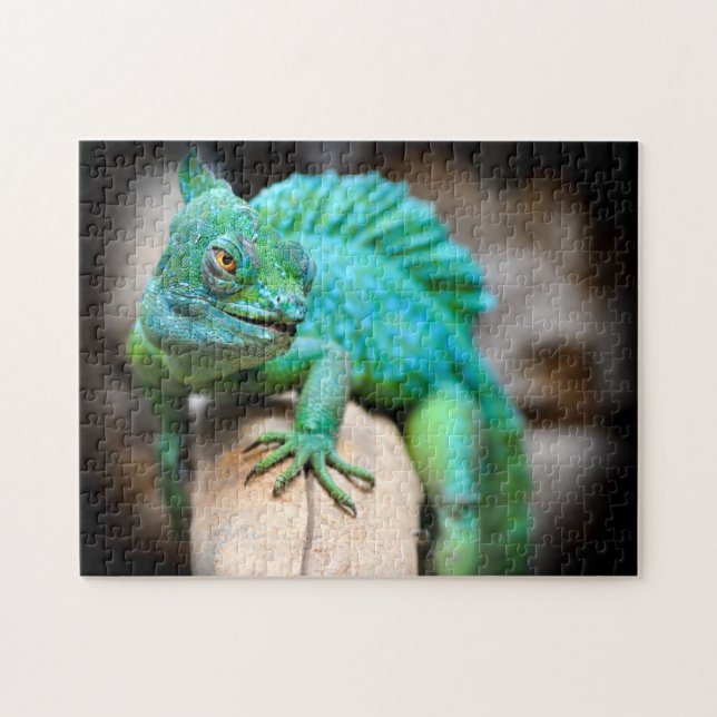 Agrandissement vert Iguana, Puzzle de Jigsaw (Horizontal)