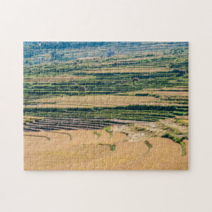 Agrarlandschaft - Bhutan, Asien, Himalaja