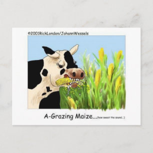 Agrazin' Labyrinth Lustige Kuh Cartoon Geschenke S Postkarte