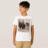 Agressiver Bison und schwarzer Wolf