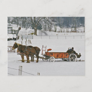Agricole D'Hiver Amish Sur Carte Postale