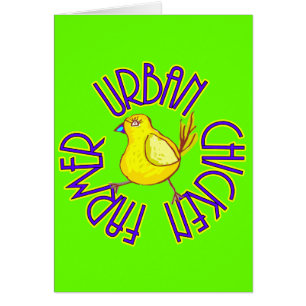 Agriculteur urbain de poulet