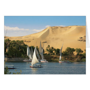 Ägypten, Assuan, Nil, Felucca-Segelschiffe, 2