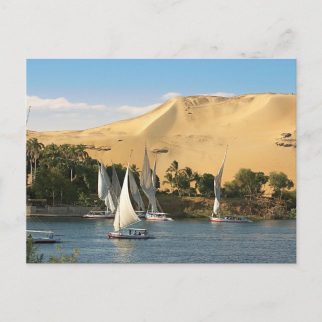 Ägypten, Assuan, Nile River, Felucca Segelboote, 2 Postkarte (Vorderseite)