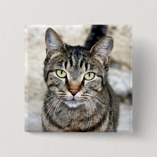 Ägypten Cat Button (Vorderseite)